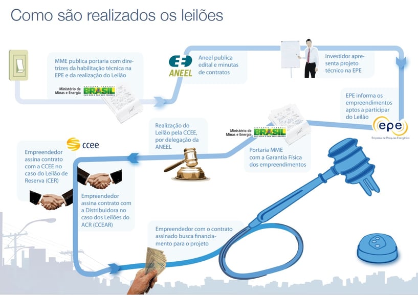 Infográfico Leilão
