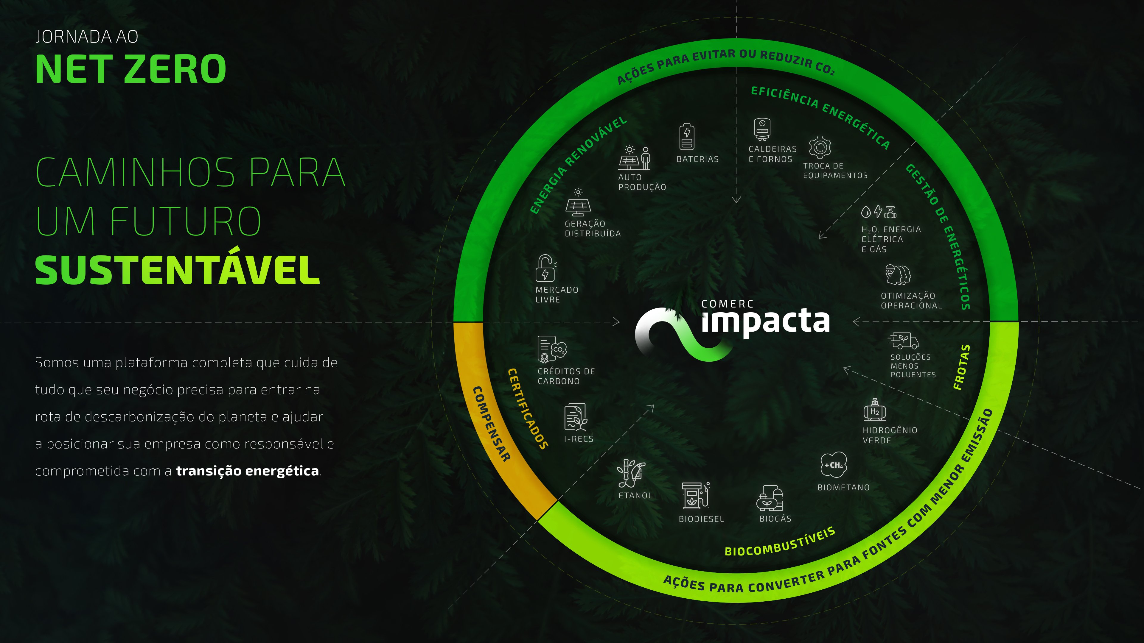 MANDALA_COMERC_IMPACTA_V3_mandala