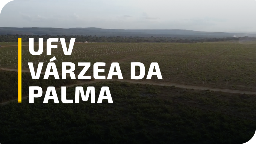 THUMB UFV Várzea da Palma