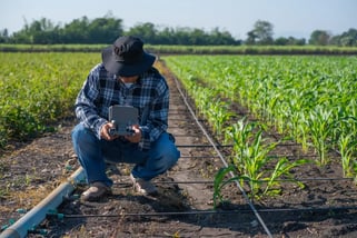 Telemetria agrícola: como otimizar o consumo no campo