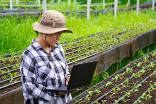 Agricultura orientada por dados: como a Telemetria transforma a operação no campo