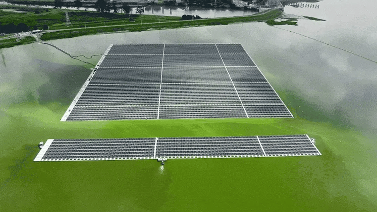 UFFAraucria-Flutuant