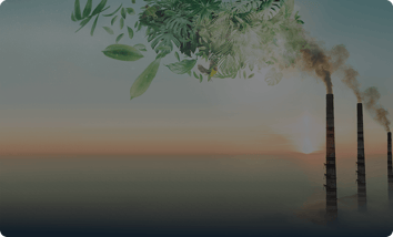 Por que as empresas devem investir na descarbonização Por que as empresas devem investir na descarbonização