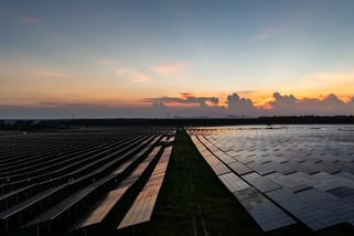 Global Carbon Council: o impacto da certificação Diamond da UFV Castilho para as empresas