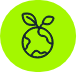 ico-plano