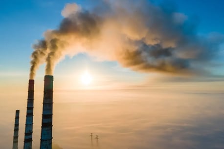 Net zero empresas: o que é e como alcançar essa meta