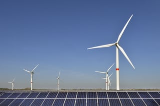 Entenda a importância da neutralização de carbono para empresas