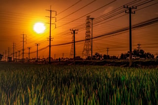 Volatilidade preço da energia: proteja o agronegócio
