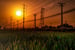 Volatilidade preço da energia: proteja o agronegócio
