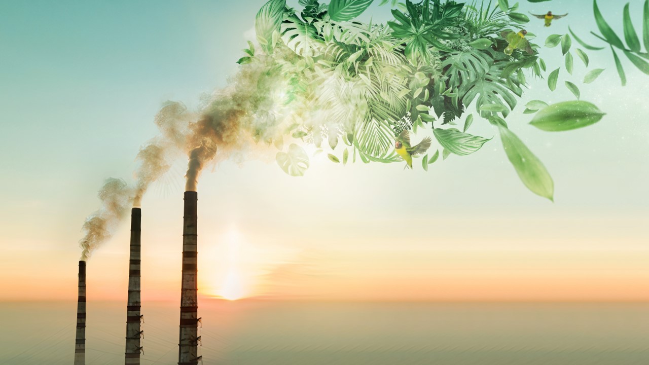 Como neutralizar carbono e descarbonizar sua empresa eficazmente?