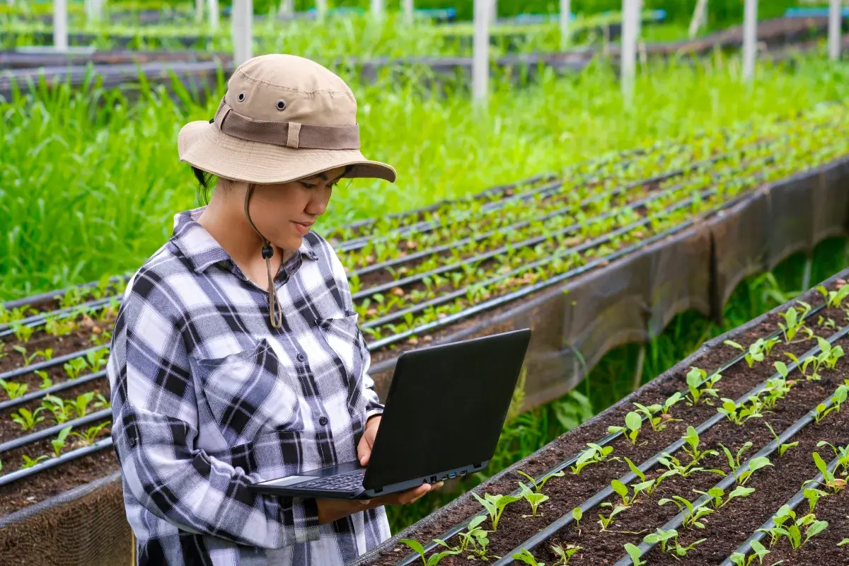 Agricultura orientada por dados: como a Telemetria transforma a operação no campo