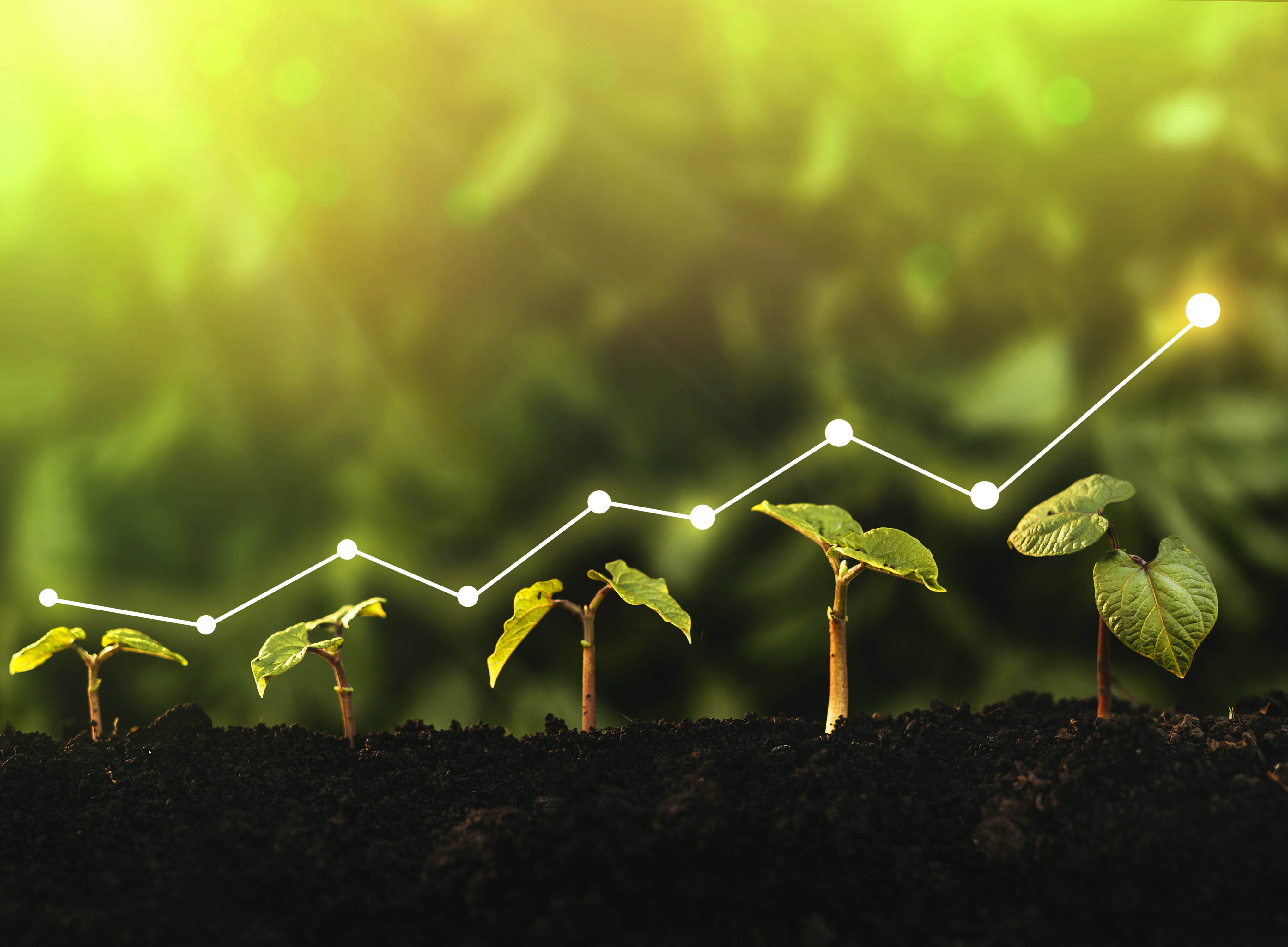 Comerc Energia e Copersucar ampliam trading de energia renovável