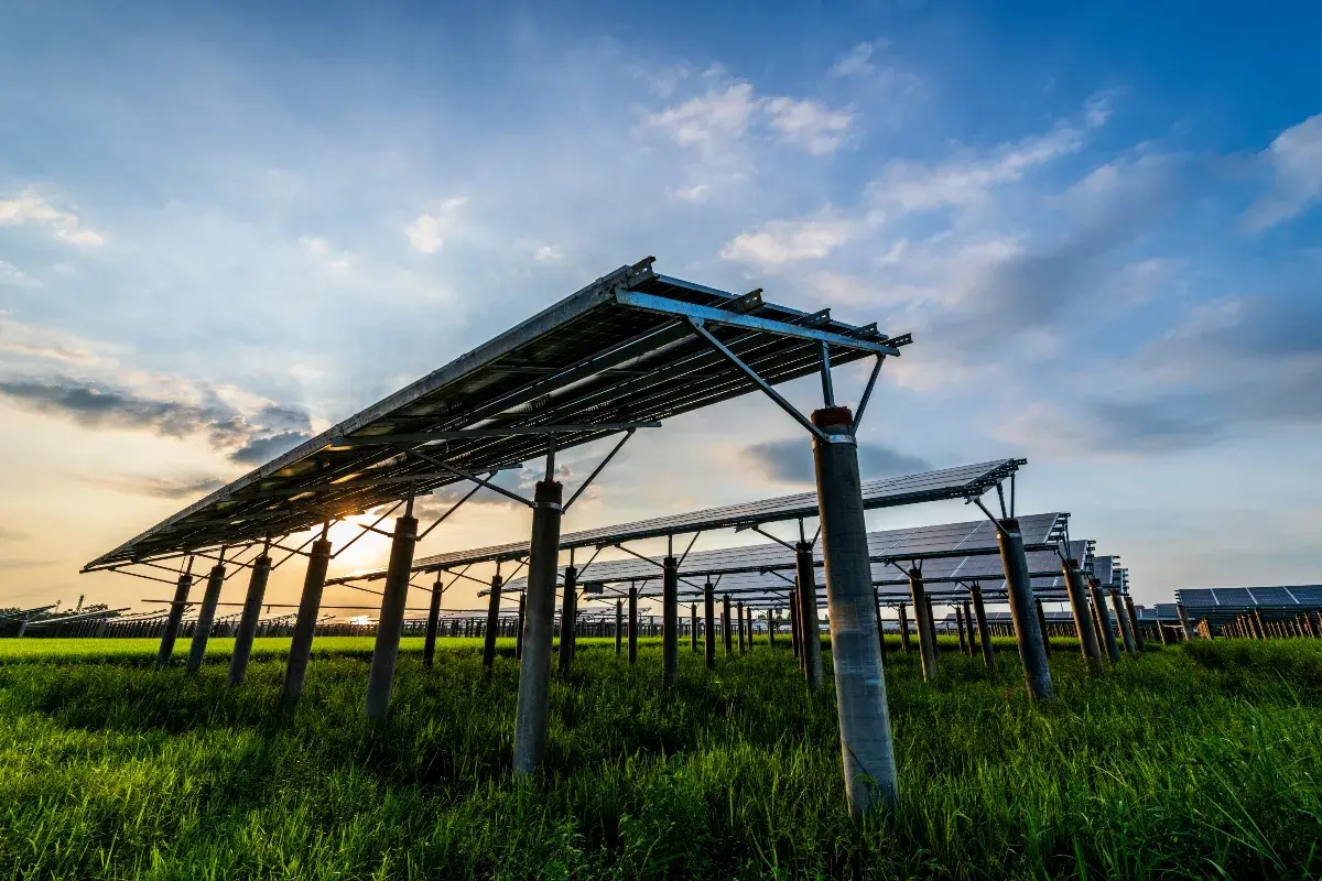 Eficiência Energética no agronegócio: como reduzir o custo por tonelada processada sem aporte de CAPEX