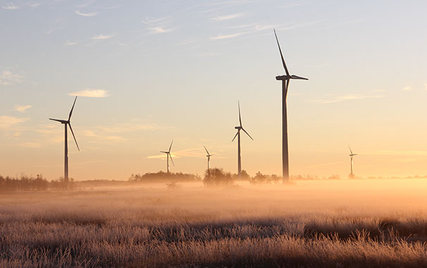 Sustentabilidade no mercado livre de energia: o que é e como aplicar?