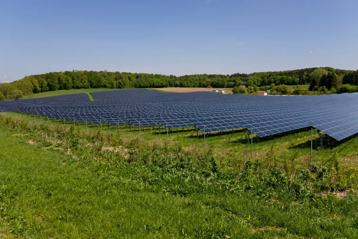 Reajuste da conta de energia: Assinatura Solar auxilia economia no agronegócio