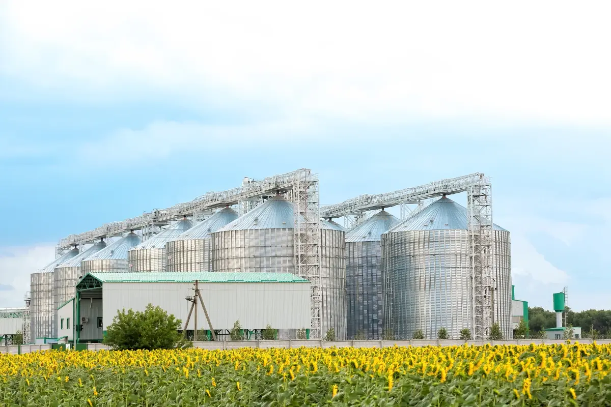 Segurança climática e energética: o papel das fontes renováveis na proteção do seu negócio
