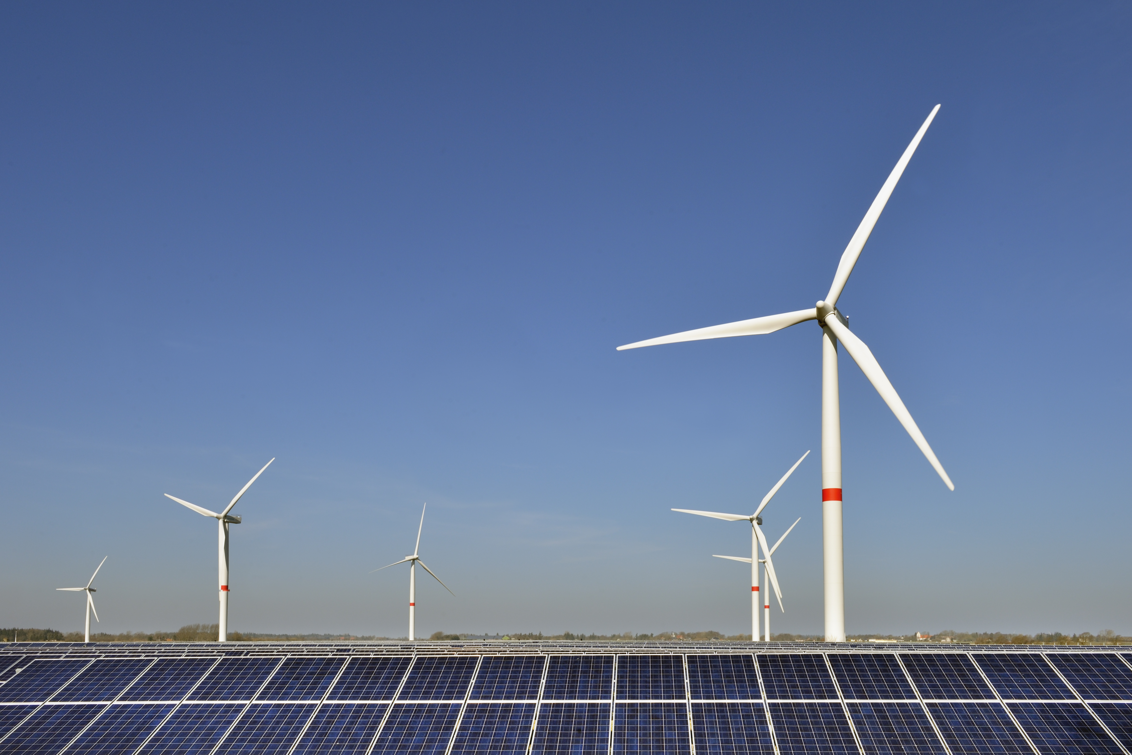 Entenda a importância da neutralização de carbono para empresas