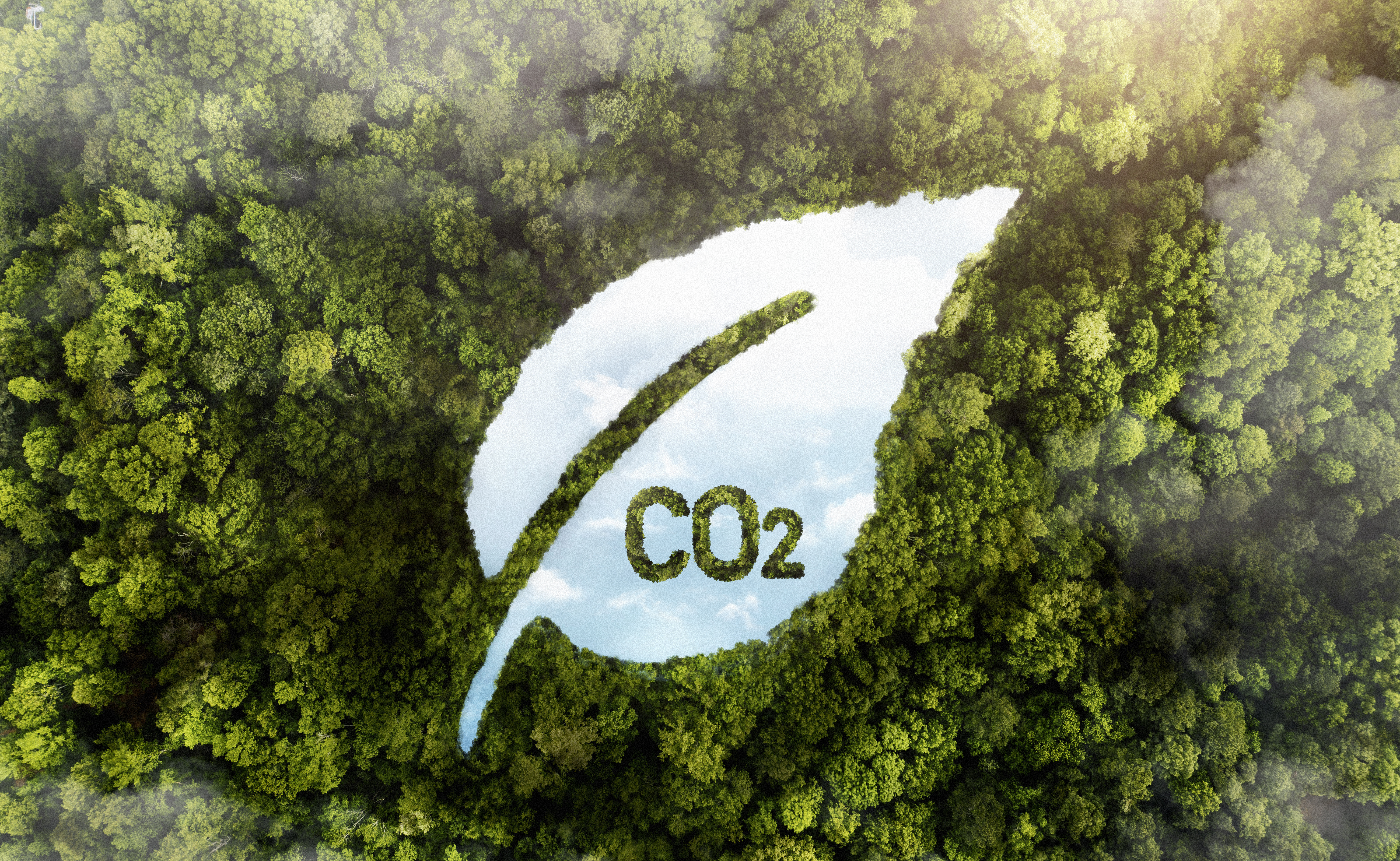 Como vender crédito de carbono? Veja 4 vantagens para sua empresa