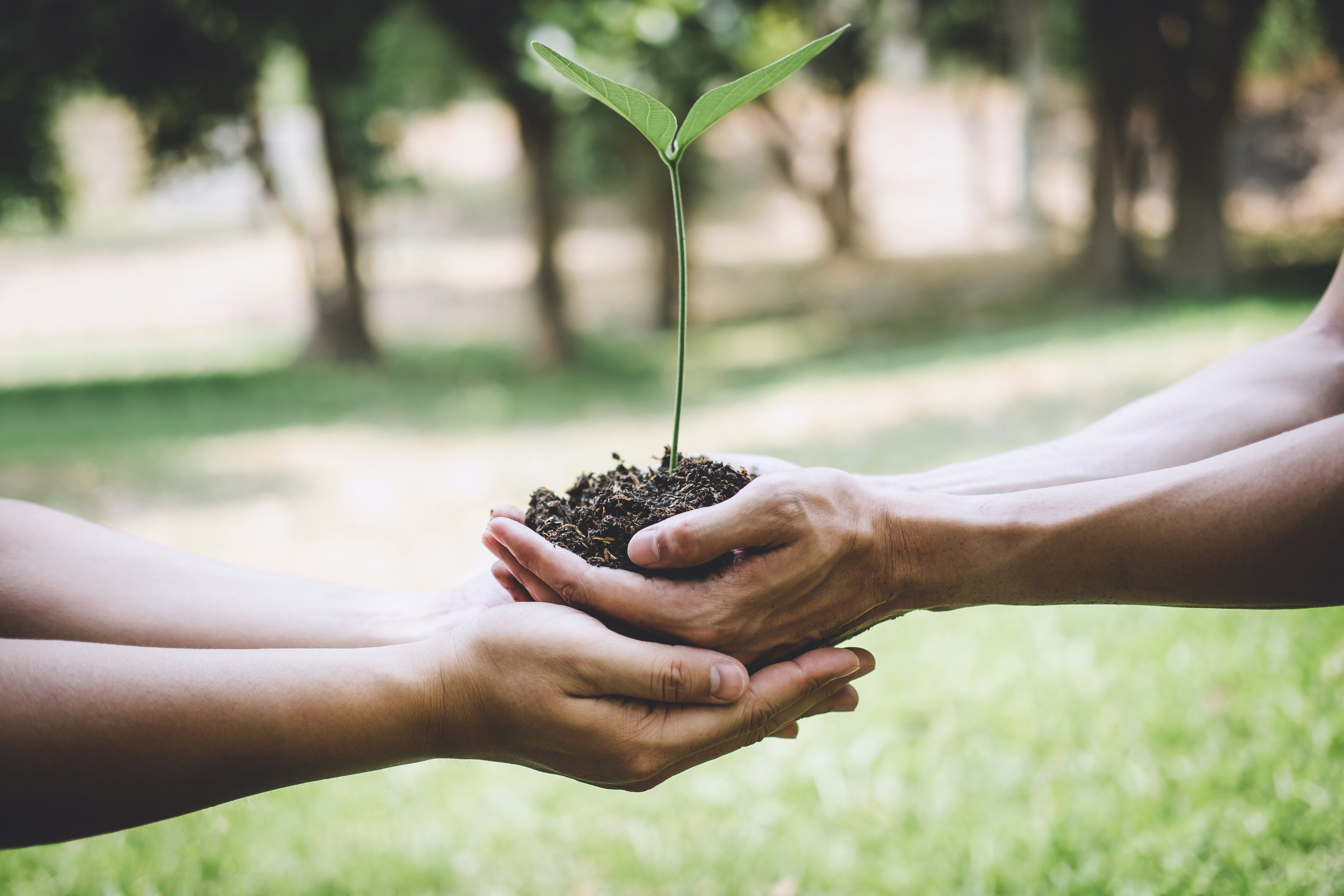 Certificados de energia renovável contribuem com um futuro sustentável